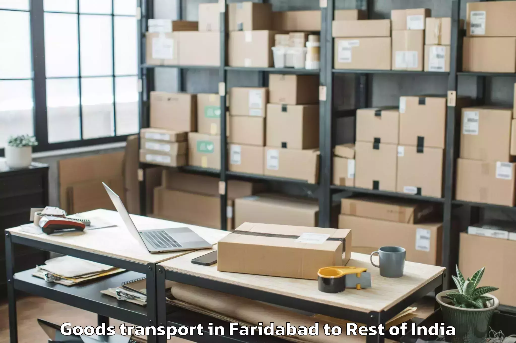 Affordable Faridabad to Damhal Hanjipora Goods Transport